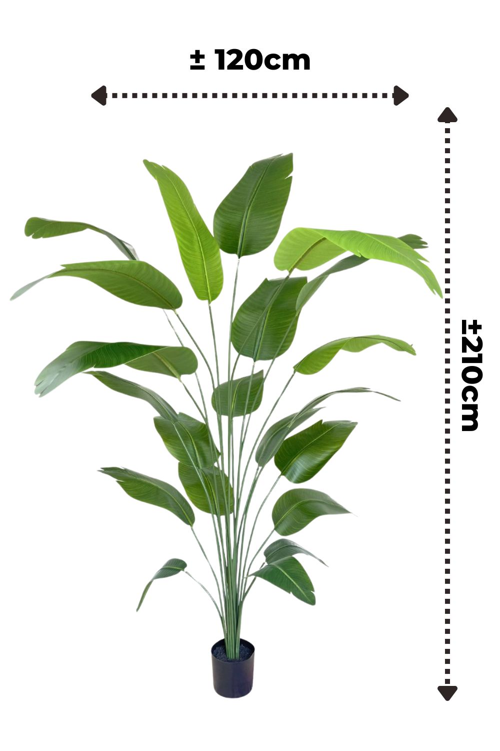 Bananenstaude Kunstpflanze 210cm