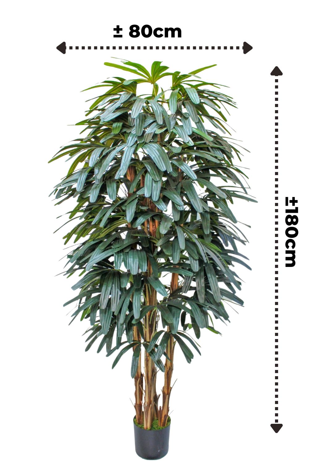 Raphis Kunstpalme 180 cm