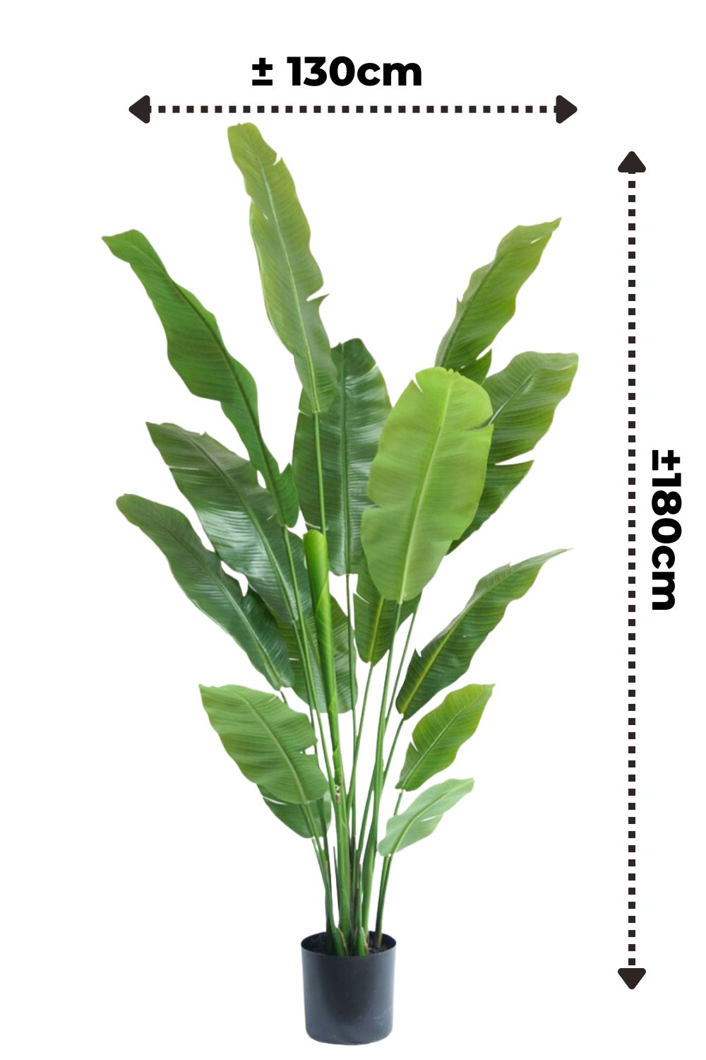 Strelitzia Kunstpflanze 180cm