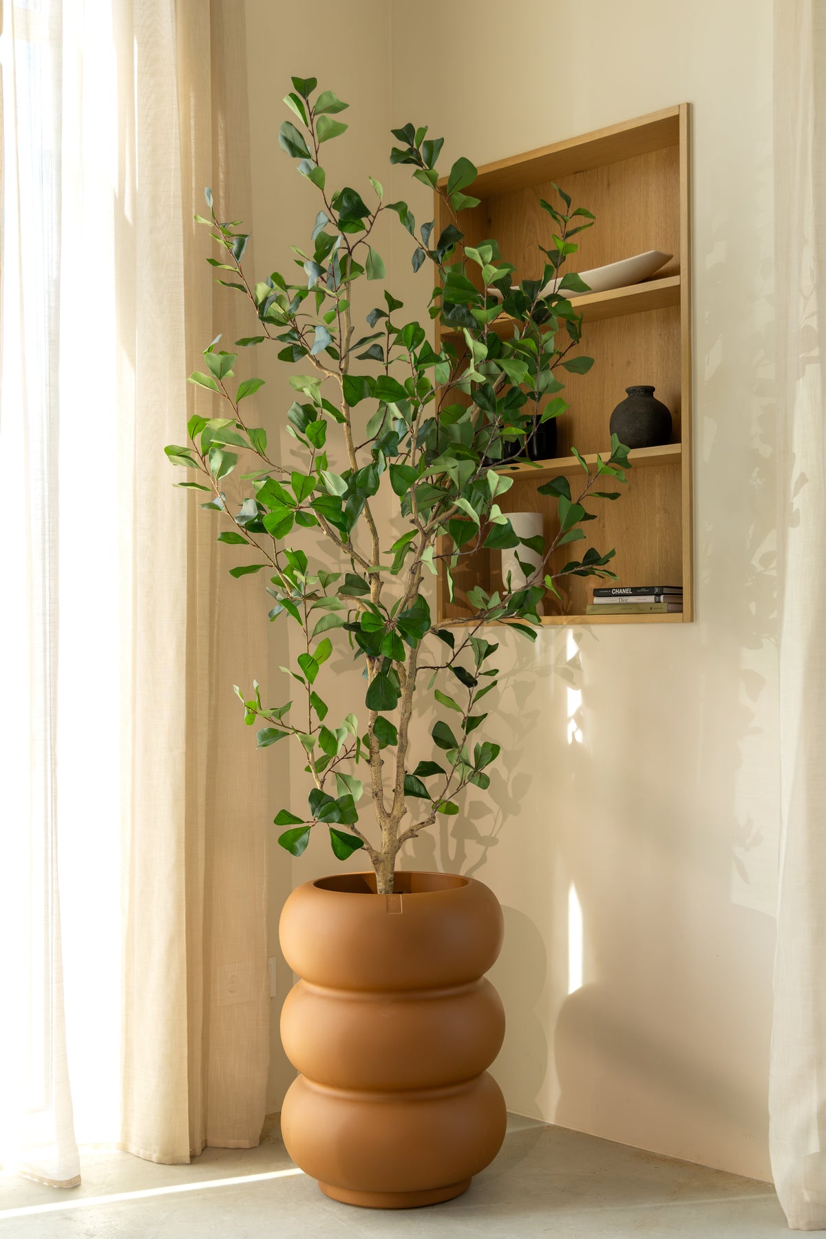 Ficus Triangularis Kunstpflanze 180cm