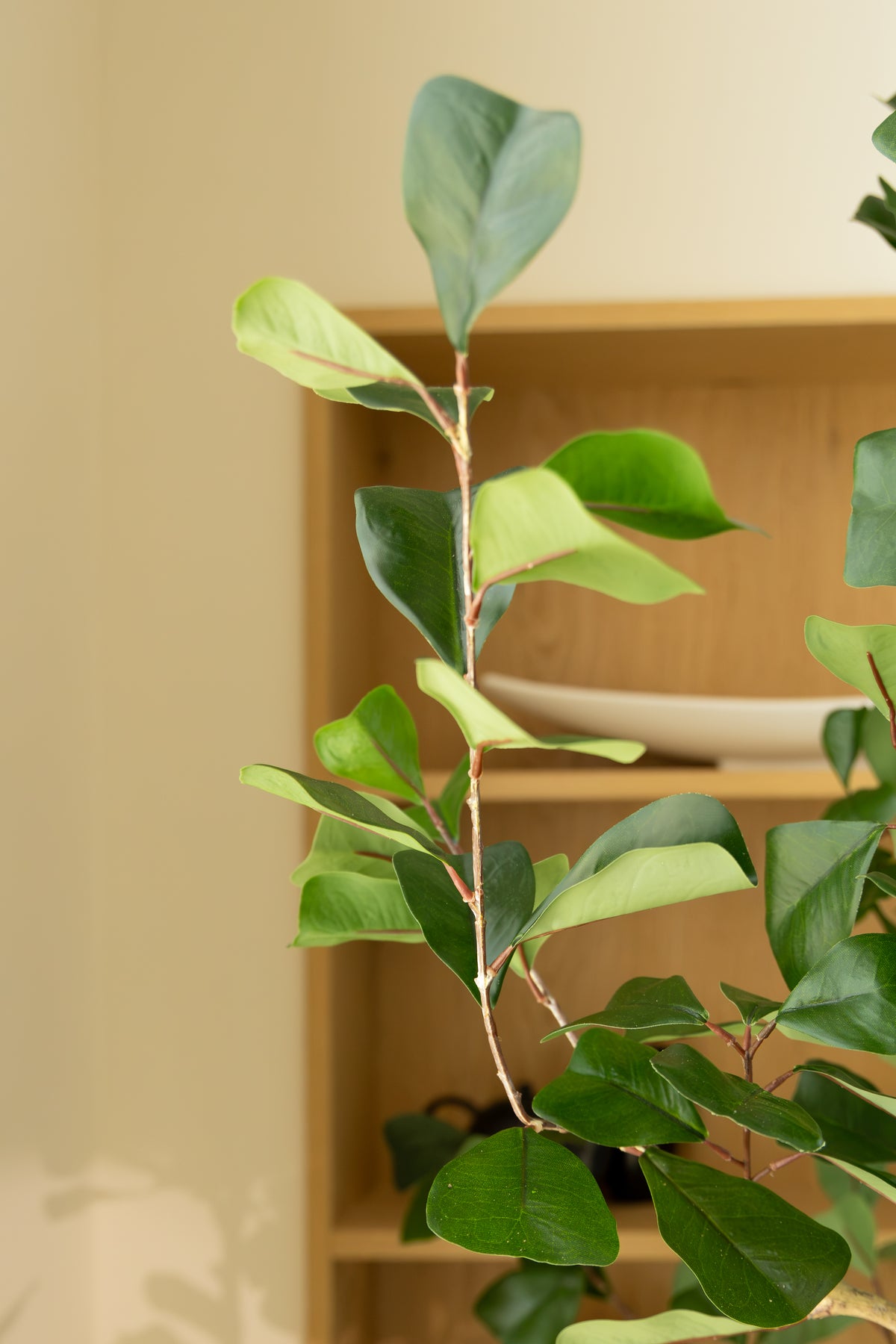 Ficus Triangularis Kunstpflanze 120cm