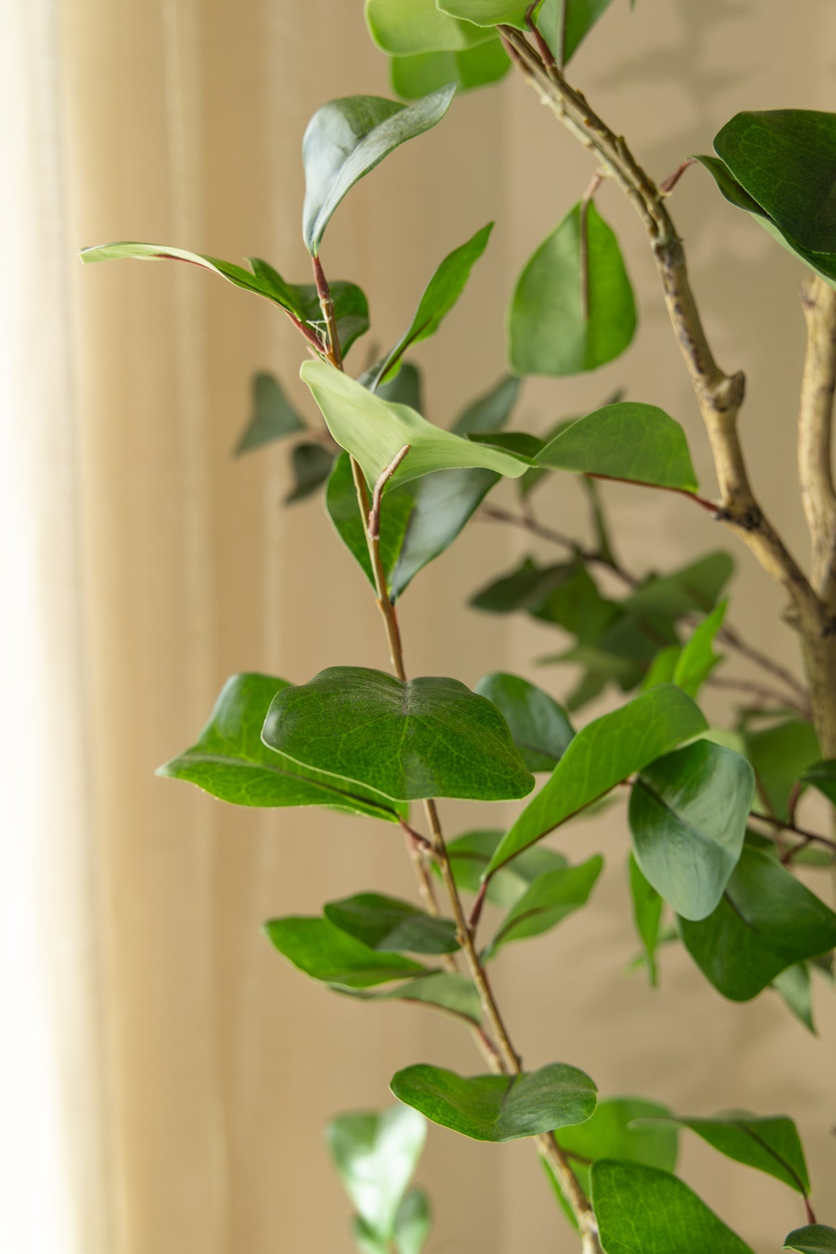 Ficus Triangularis Kunstpflanze 120cm