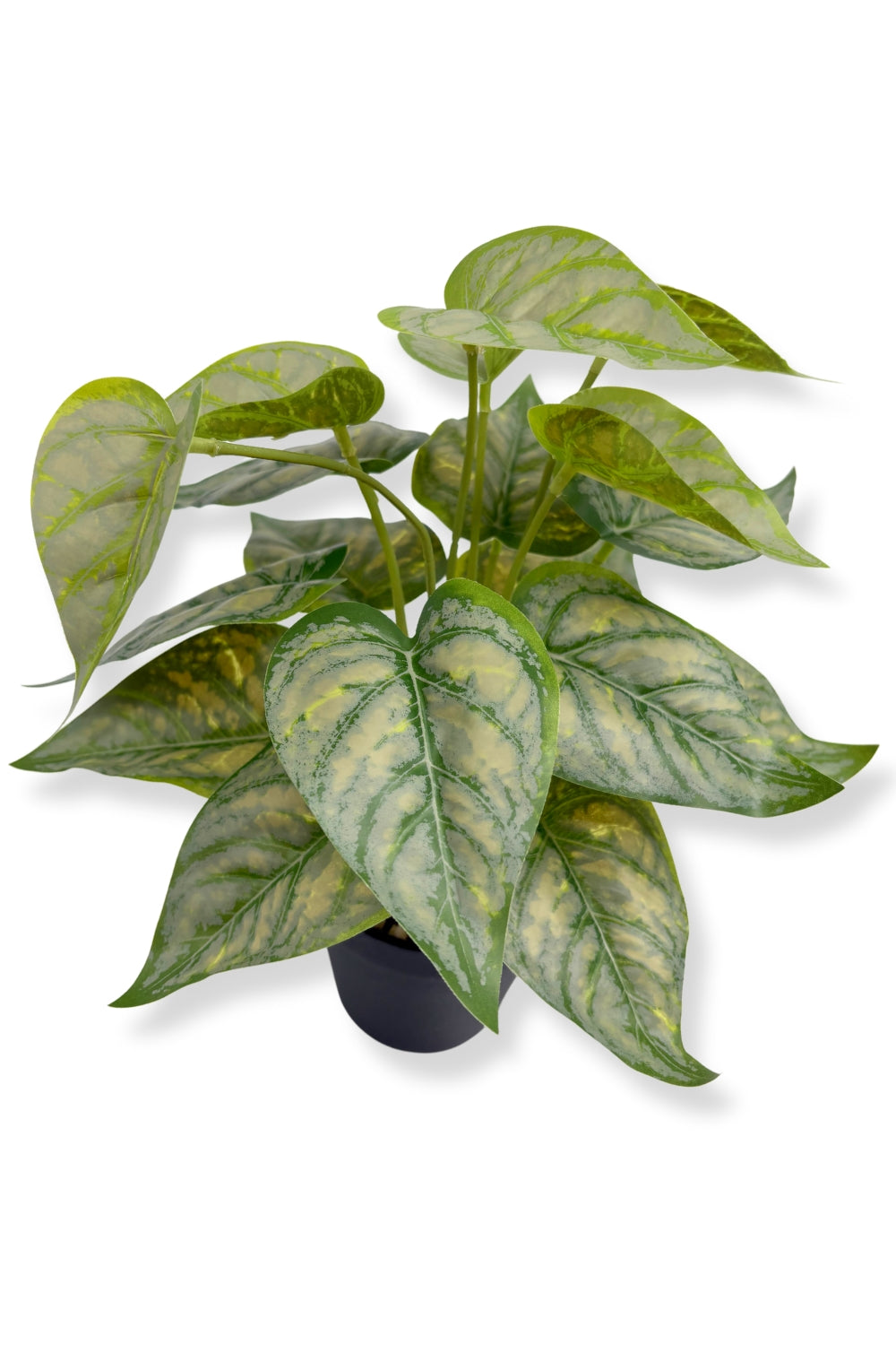 Caladium Kunstpflanze 32 cm - prettypflanzen
