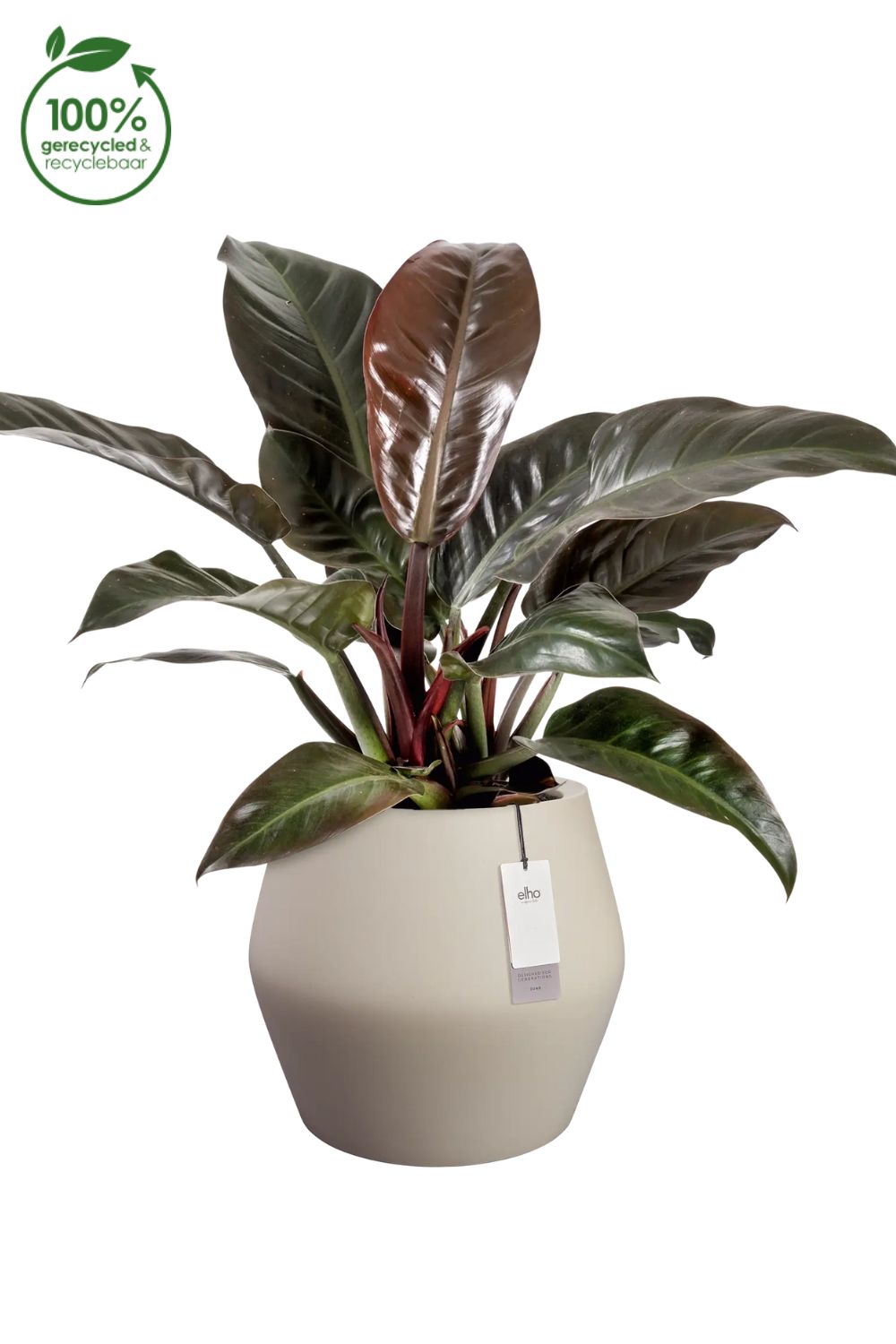 Blumentopf Elho June Split Low 42 cm Balanced Beige