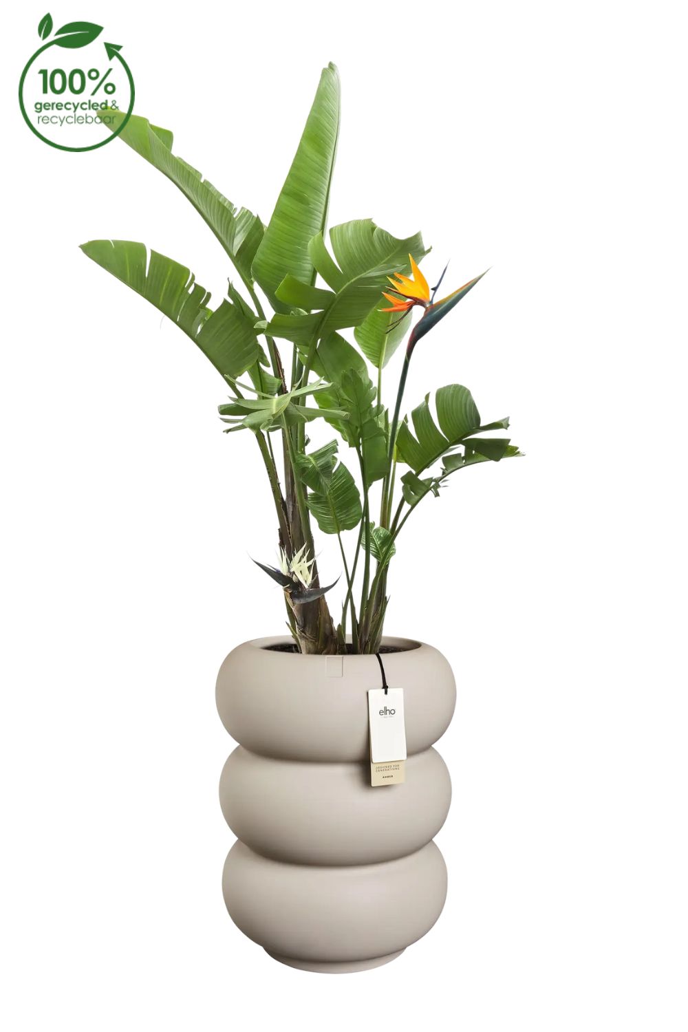 Blumentopf Elho Amber Roll High 58 cm Balanced Beige