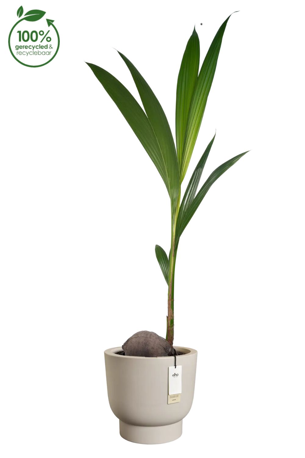 Blumentopf Elho Amber Grail 30 cm Balanced Beige