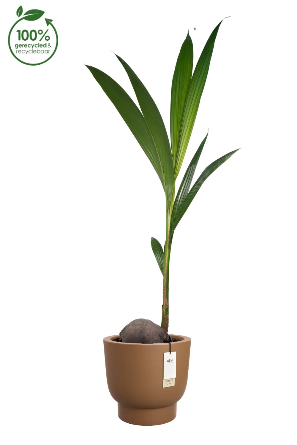 Blumentopf Elho Amber Grail 30 cm Karamell
