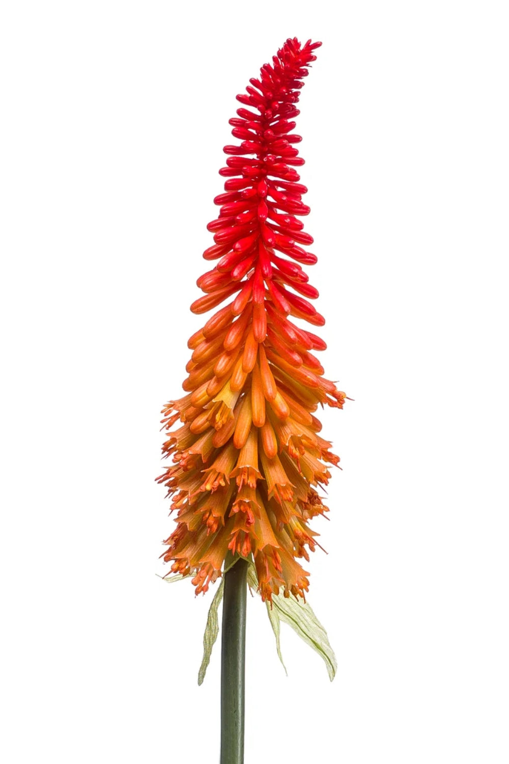 Kniphofia Kunstblume 85 cm Orange