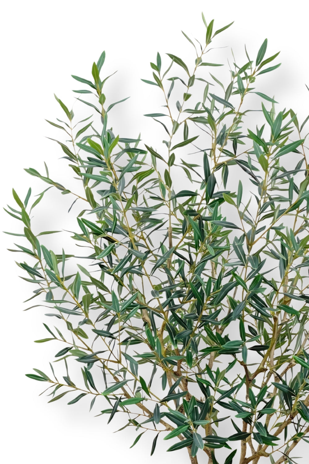Künstlicher Olivenbaum 180cm