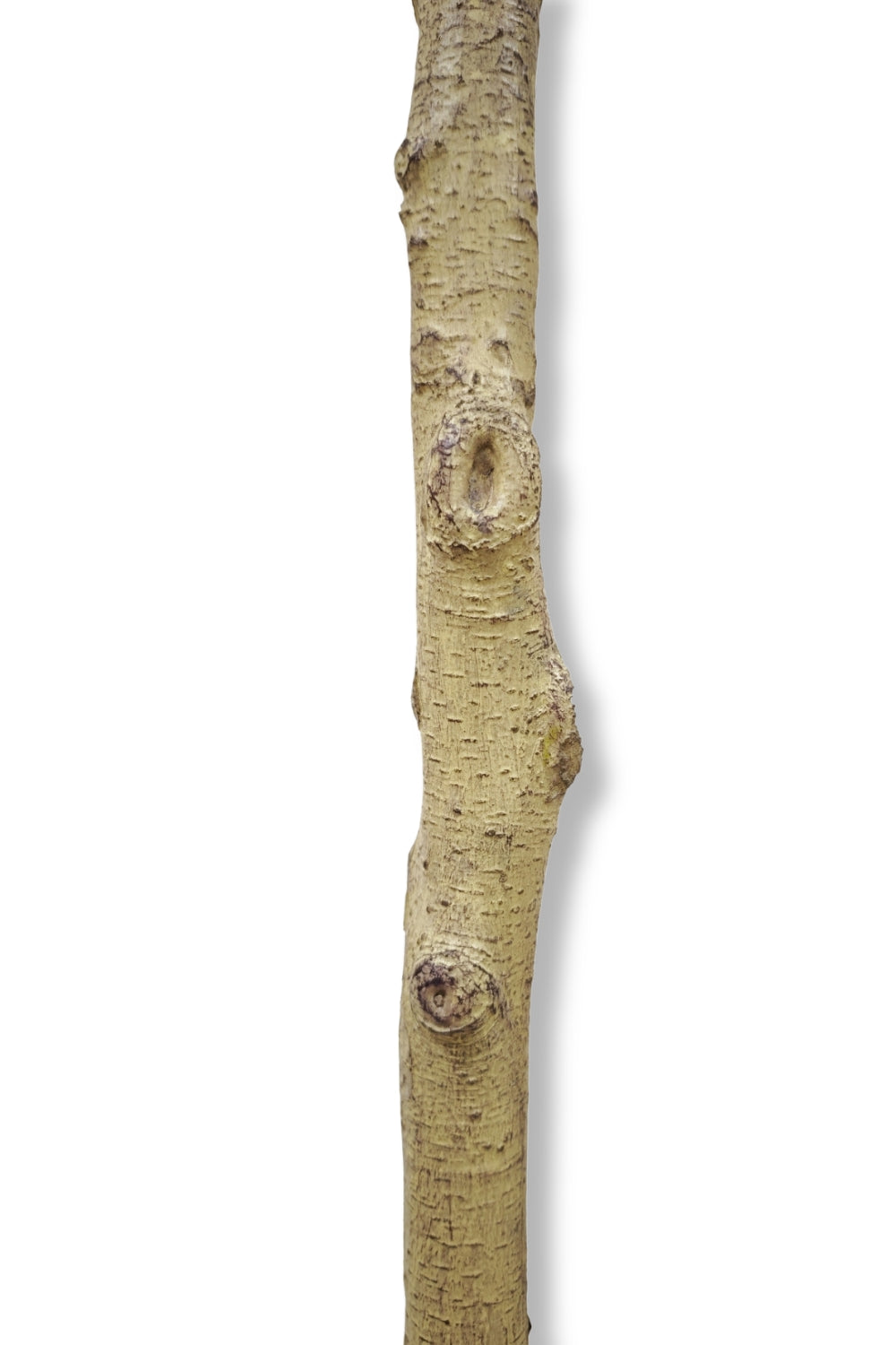 Künstlicher Olivenbaum 180cm