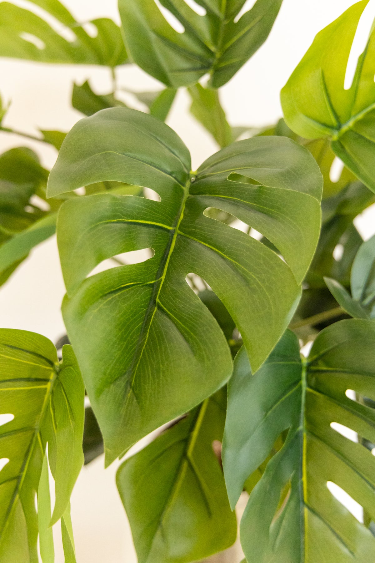 Monstera Kunstpflanze 65cm