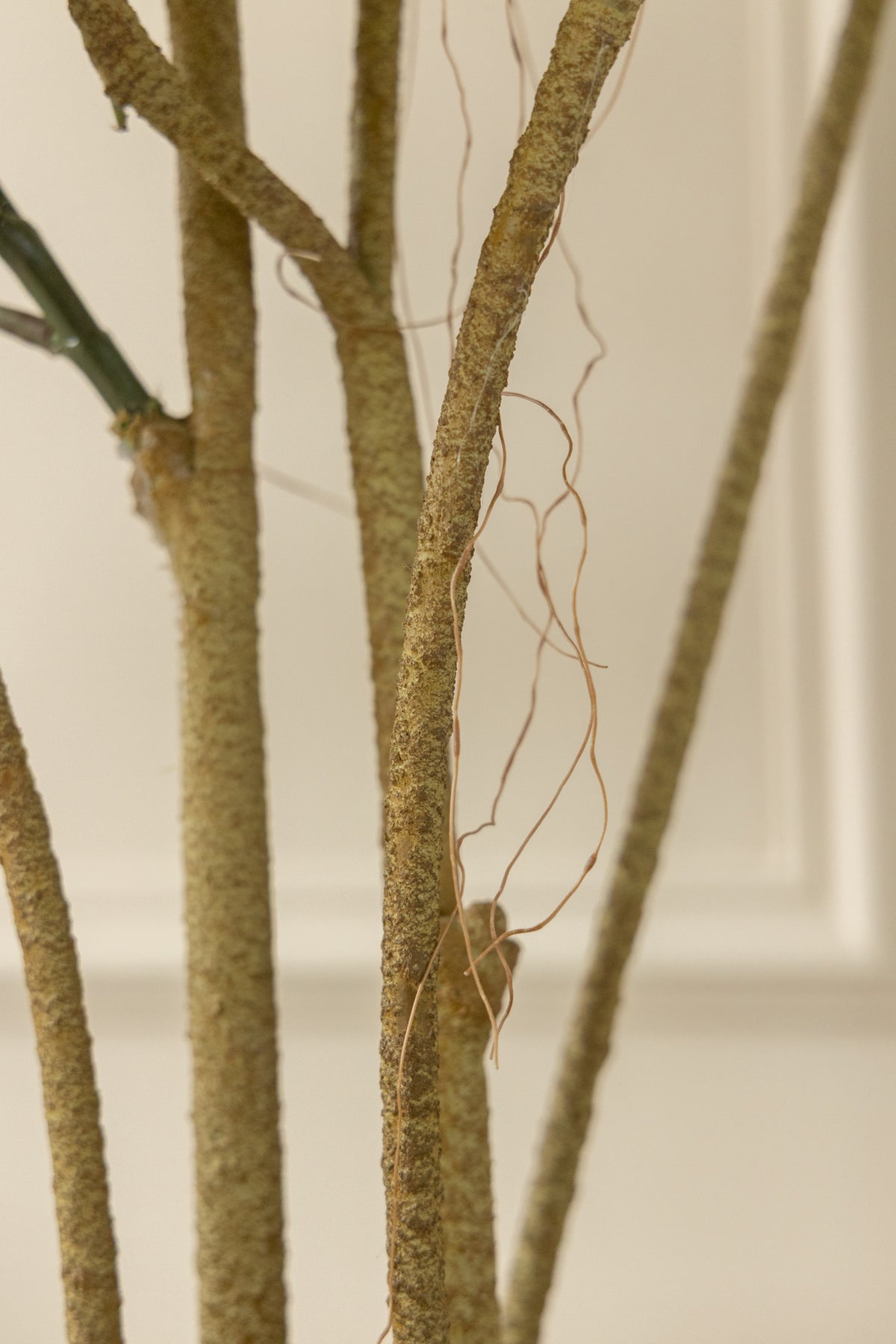 Ficus Kunstpflanze 120cm
