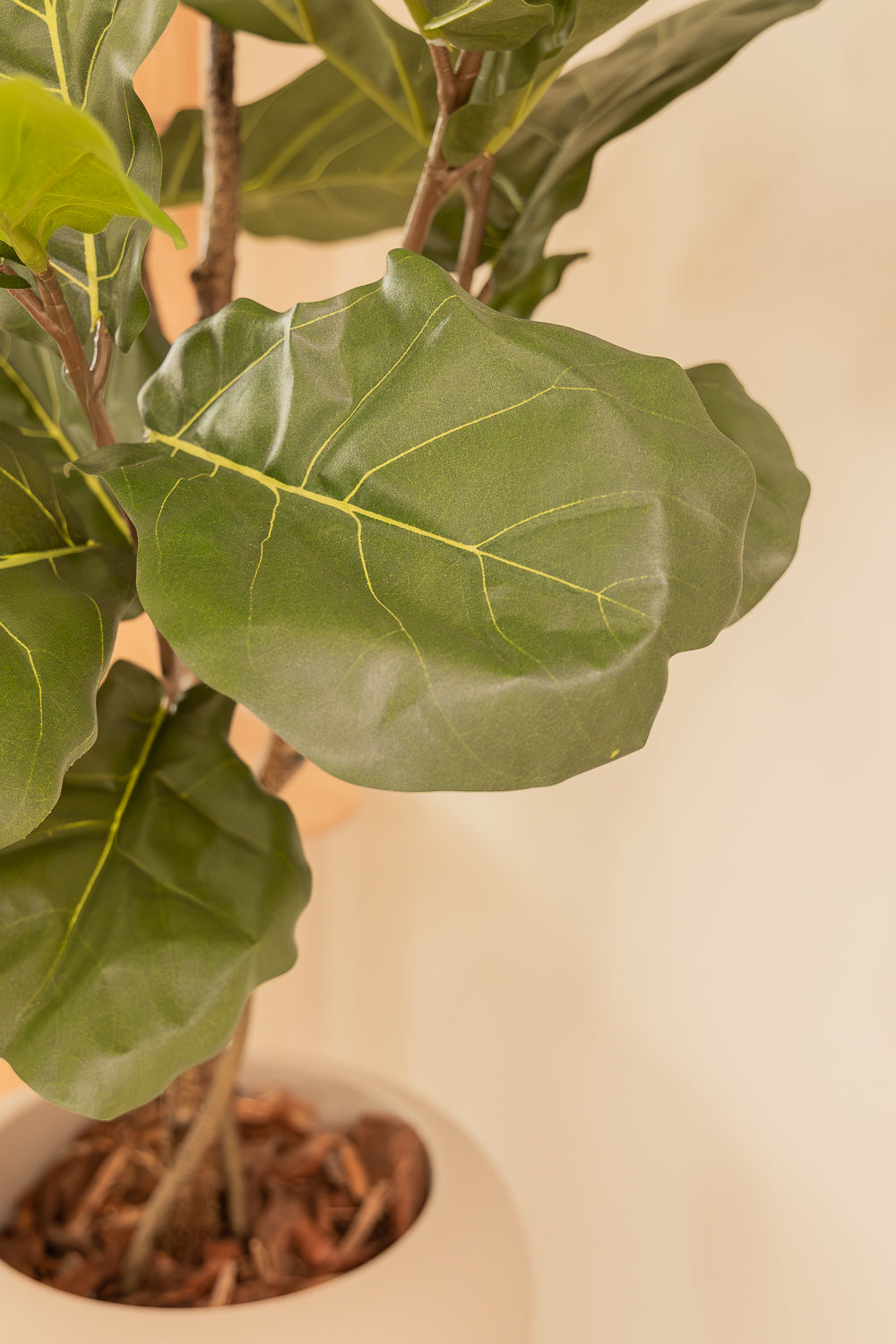 Ficus Lyrata Kunstpflanze 180cm
