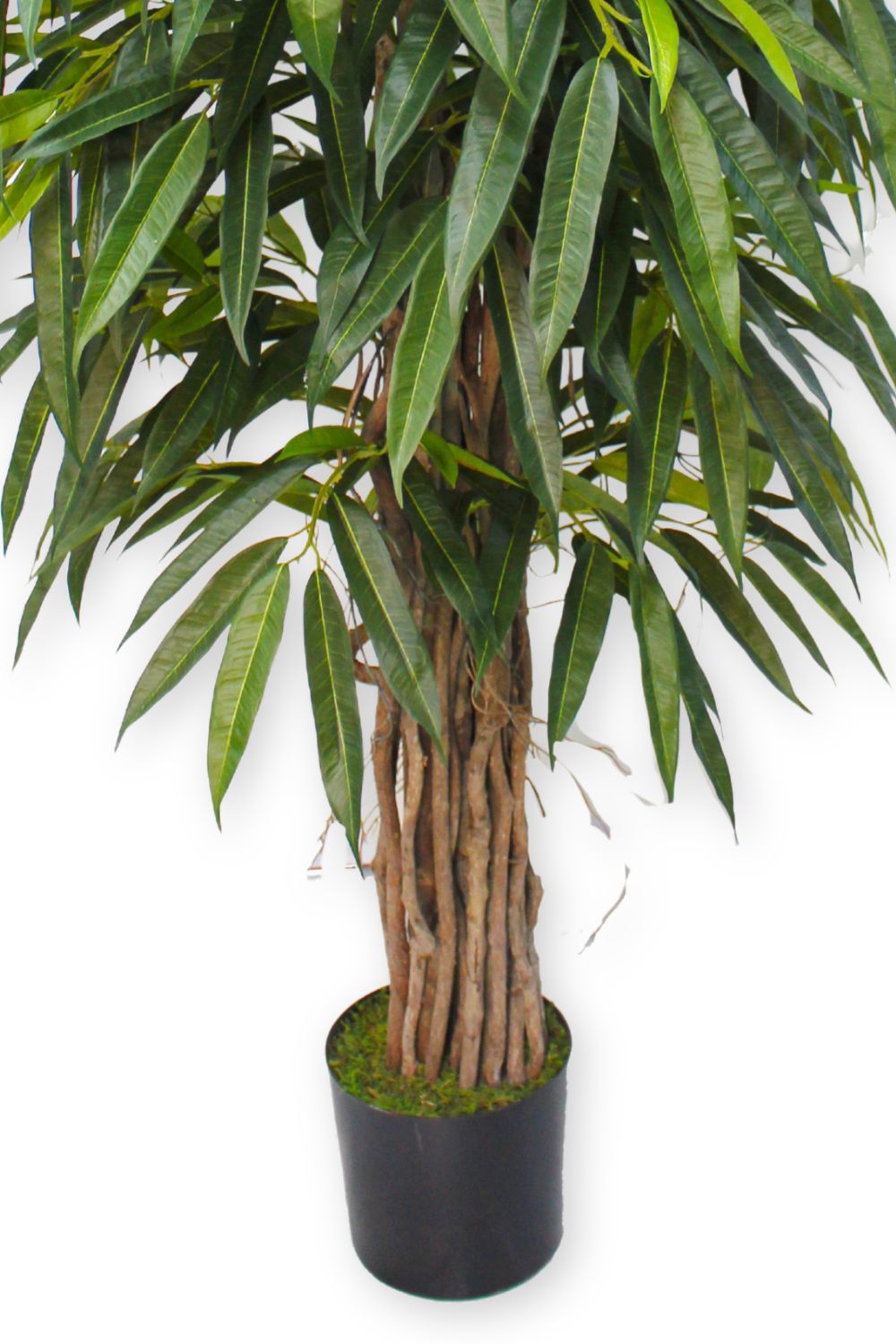 Longifolia Kunstpflanze 180 cm