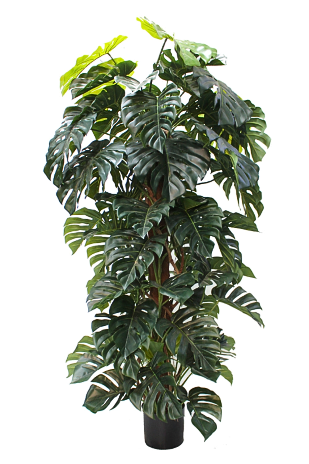 Monstera Kunstpflanze 180cm