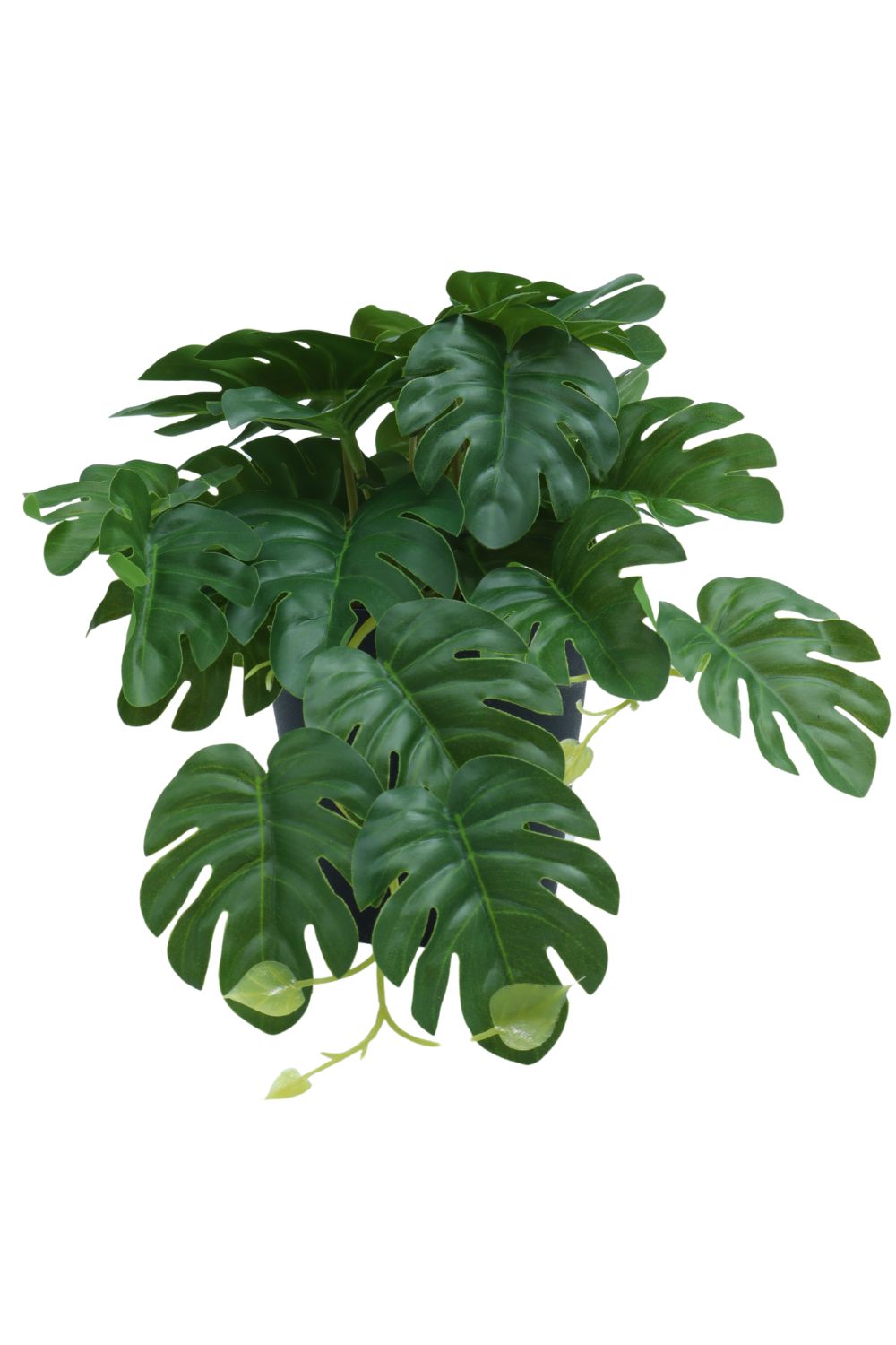 Monstera Kunstpflanze 17 cm - prettypflanzen