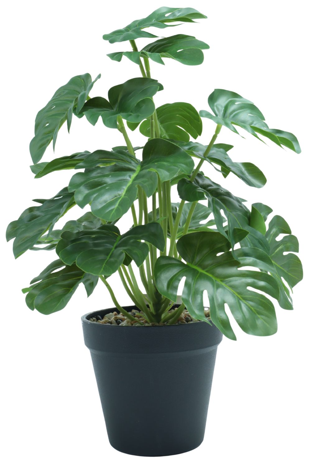 Monstera Kunstpflanze 32 cm – PrettyPflanzen