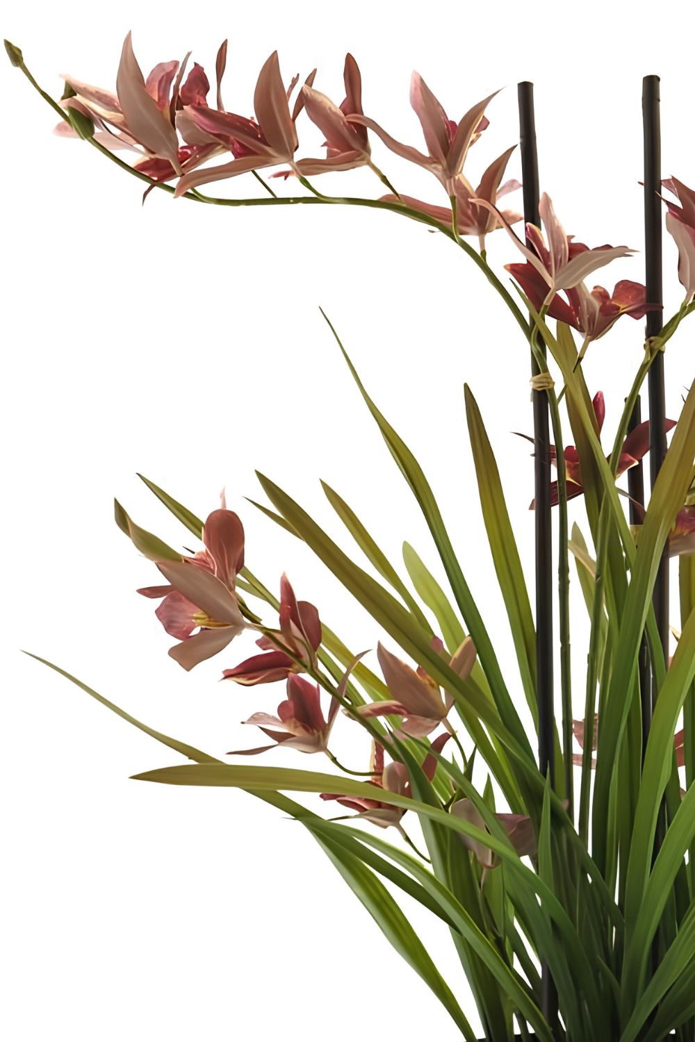 Künstliche Meadow Orchidee Tiefrot 70 cm