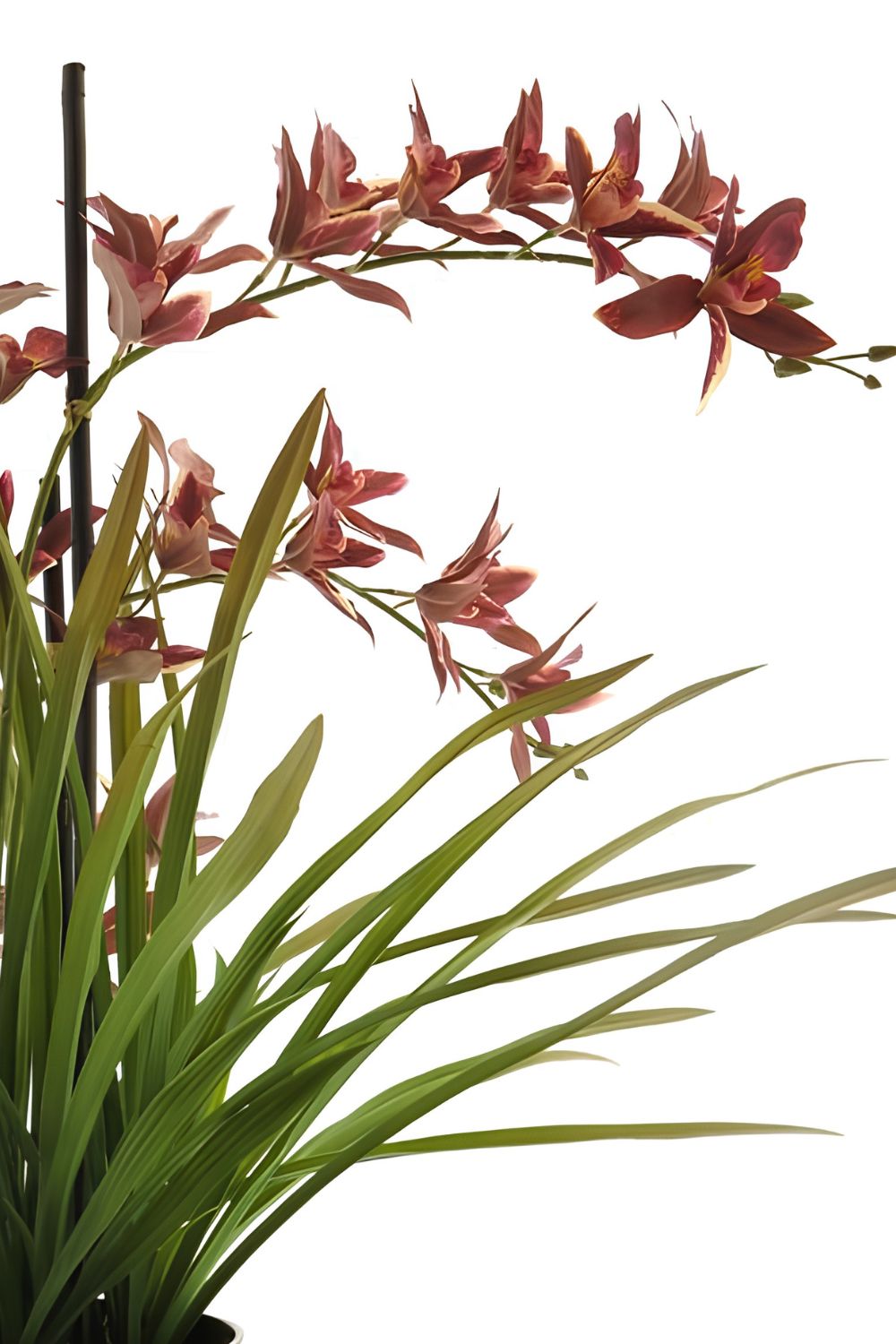 Künstliche Meadow Orchidee Tiefrot 70 cm