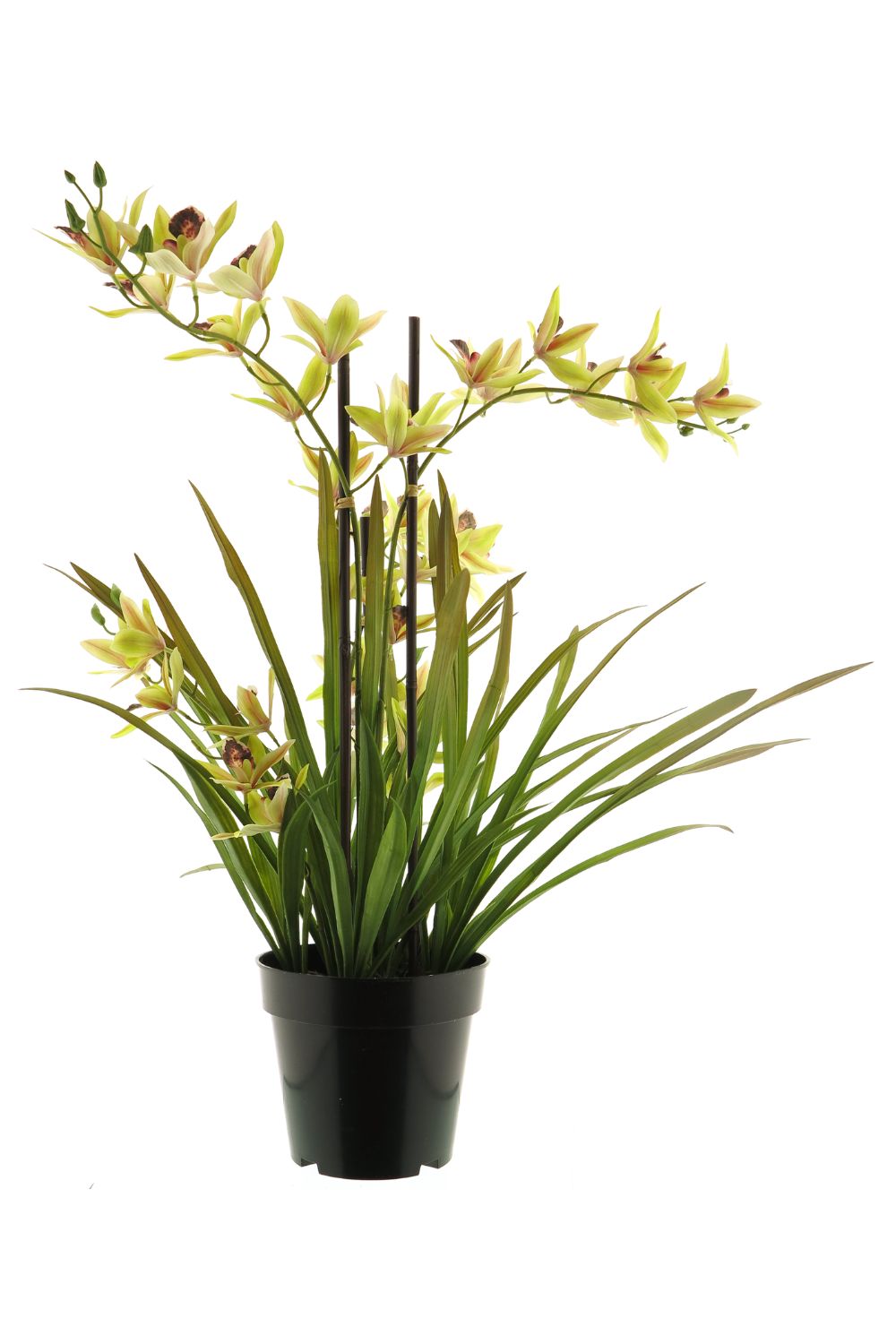 Künstliche Meadow Orchidee Grün Creme 70 cm