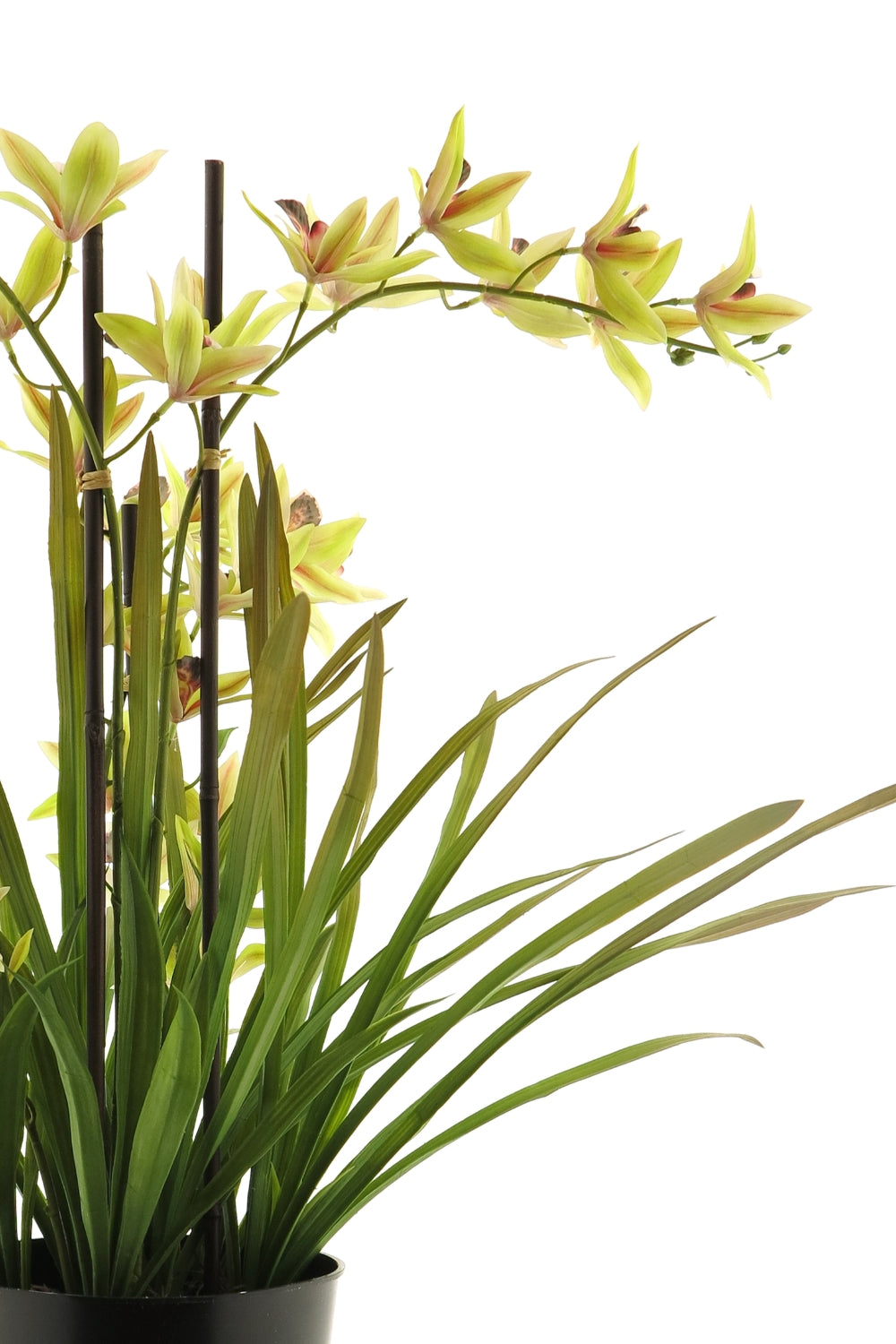 Künstliche Meadow Orchidee Grün Creme 70 cm