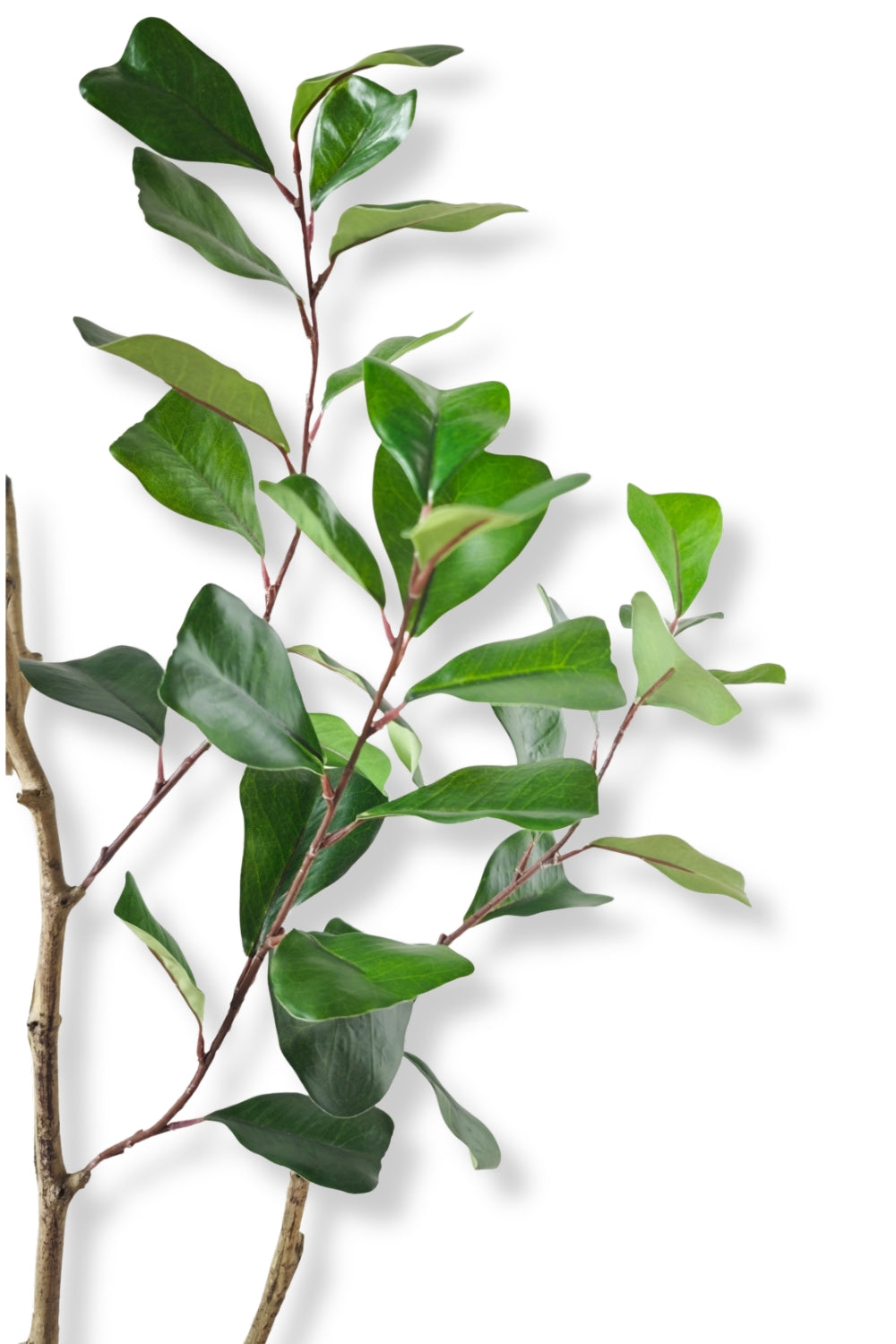 Ficus Triangularis Kunstpflanze 120cm
