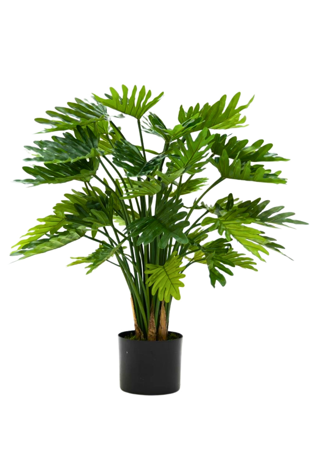 Philodendron Kunstpflanze 75cm