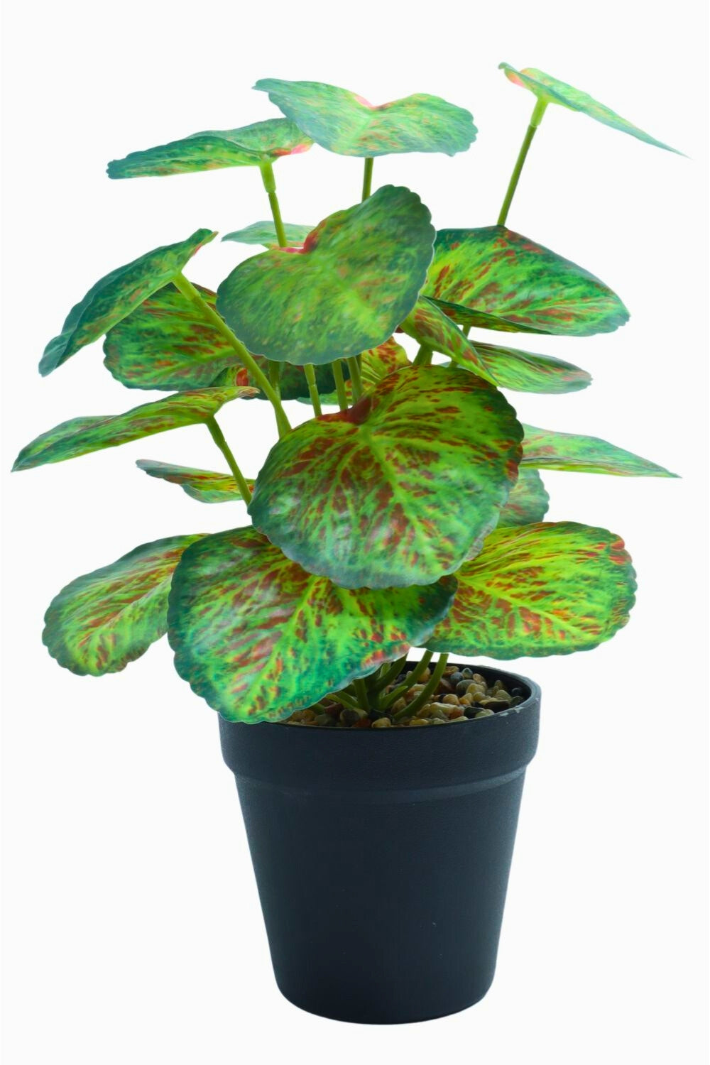 Taro Kunstpflanze 32 cm – PrettyPflanzen