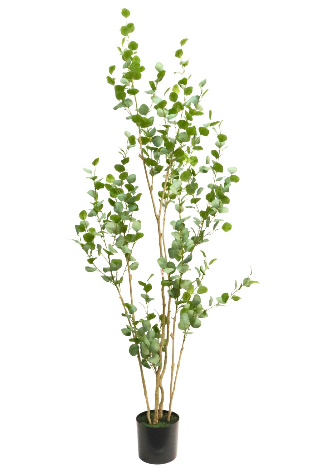 Eukalyptus Kunstpflanze 210cm