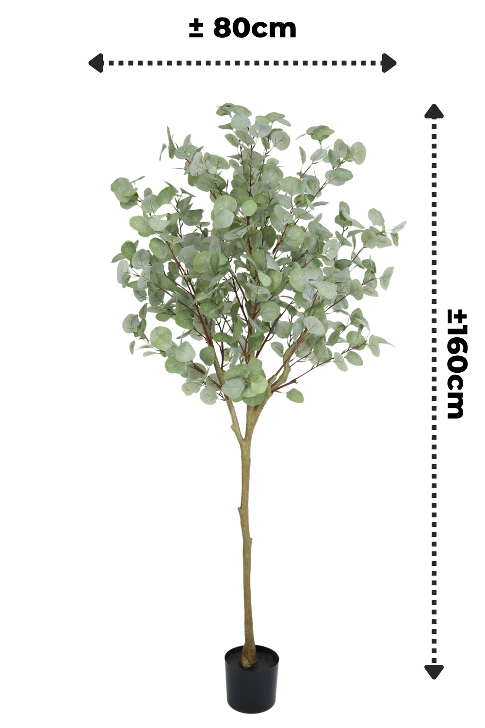 Eukalyptus Kunstbaum 160cm Grün