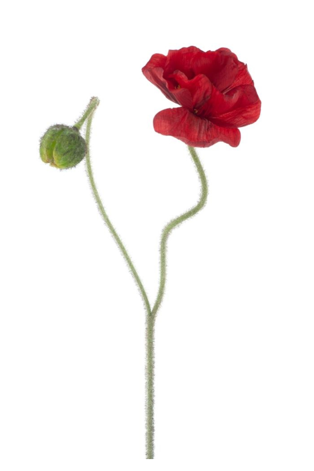 Künstlicher Mohn Rot 81cm