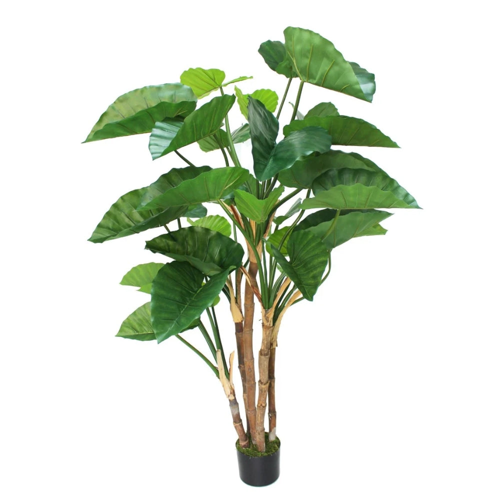 Alocasia Kunstpflanze