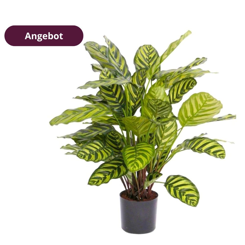 Angebot