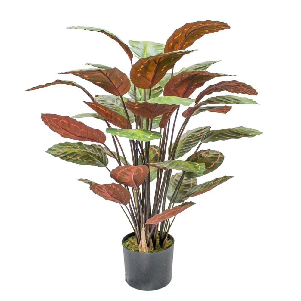 Calathea Kunstpflanze