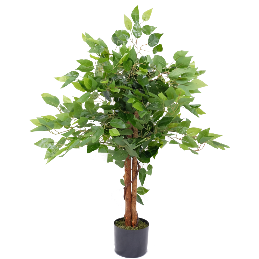 Künstliche Ficusbäume