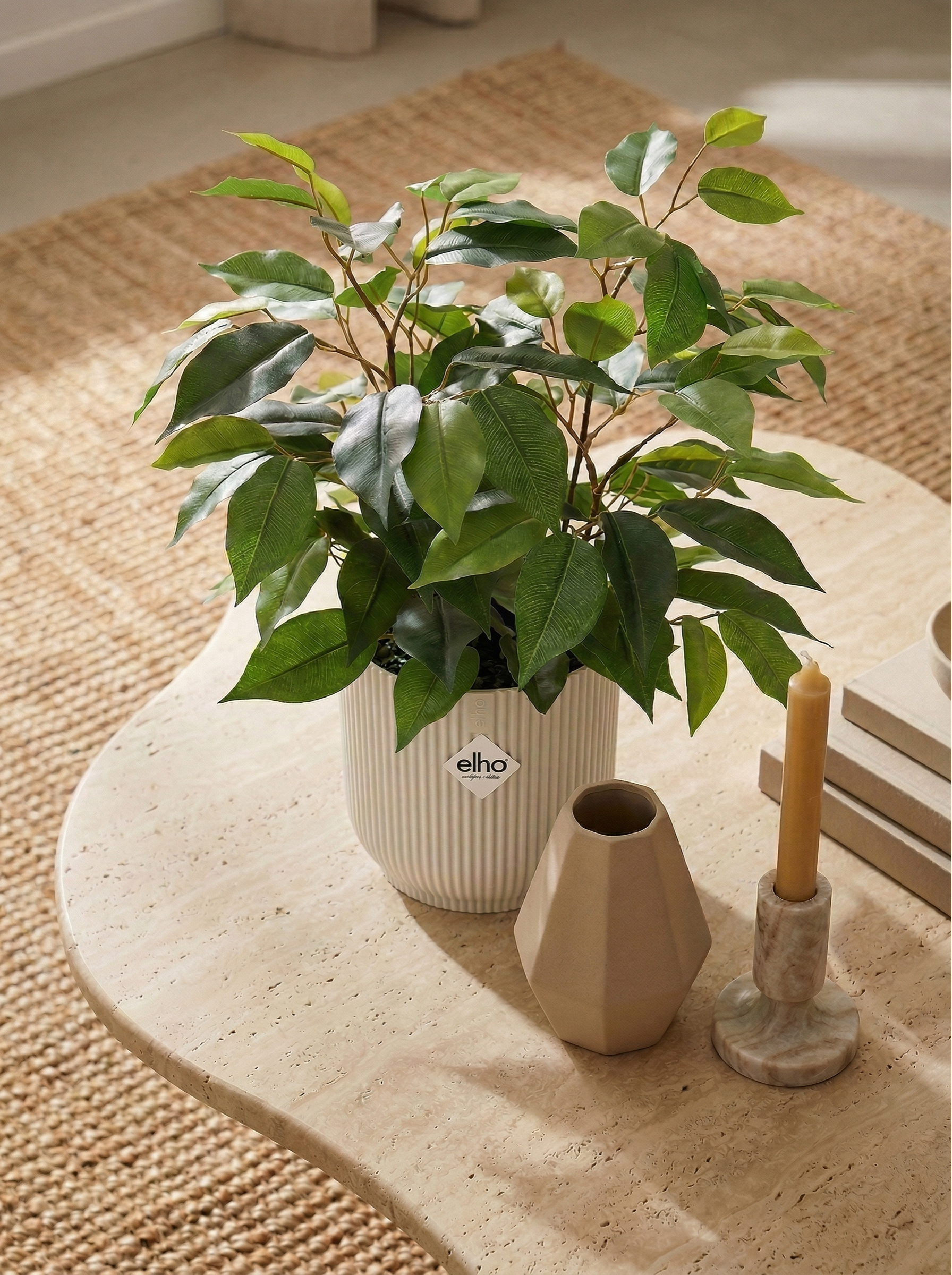 Ficus Kunstpflanze 40cm