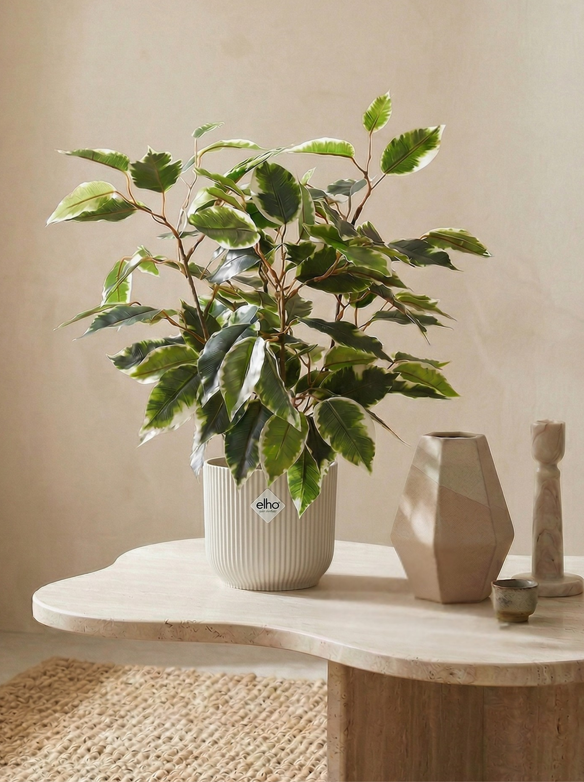 Ficus Kunstpflanze 40cm