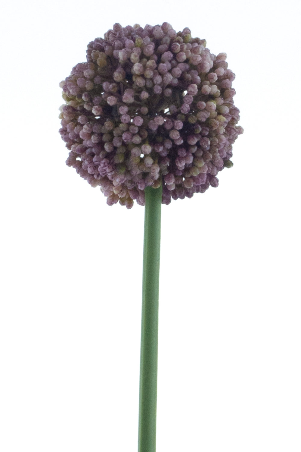 Allium Kunstblume 66 cm Lila