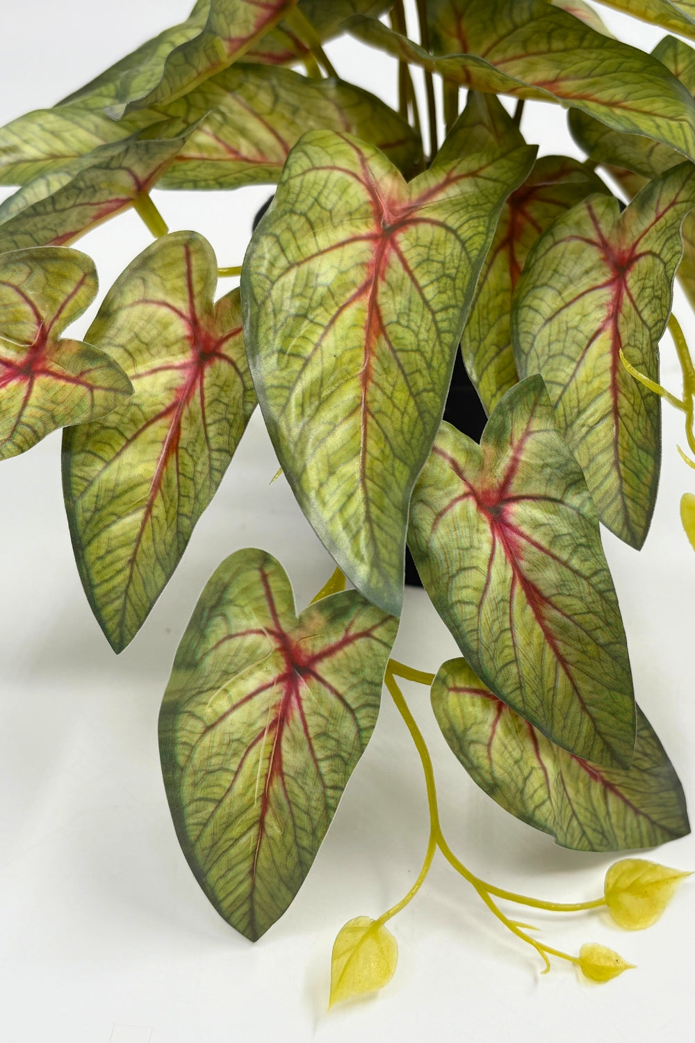 Caladium Kunstpflanze 17 cm – prettypflanzen