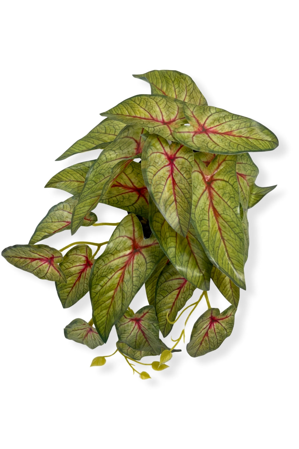 Caladium Kunstpflanze 17 cm – prettypflanzen