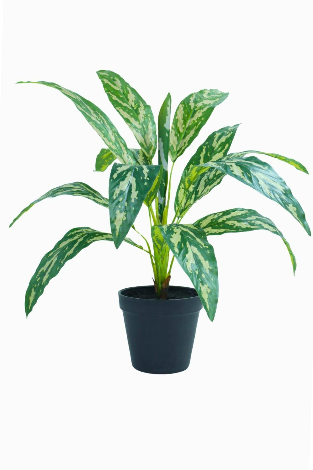Dracaena Kunstpflanze 40 cm - prettypflanzen 