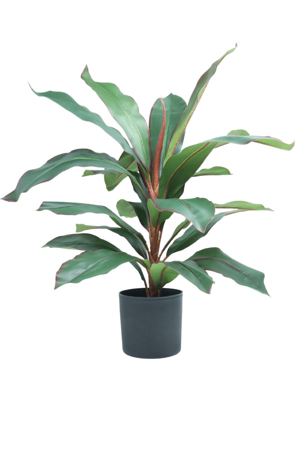 Dracaena Kunstpflanze 60 cm – PrettyPflanzen