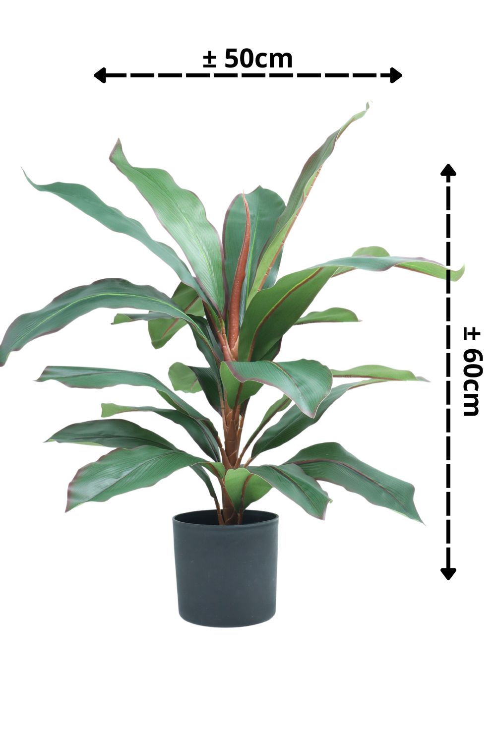Dracaena Kunstpflanze 60 cm – PrettyPflanzen