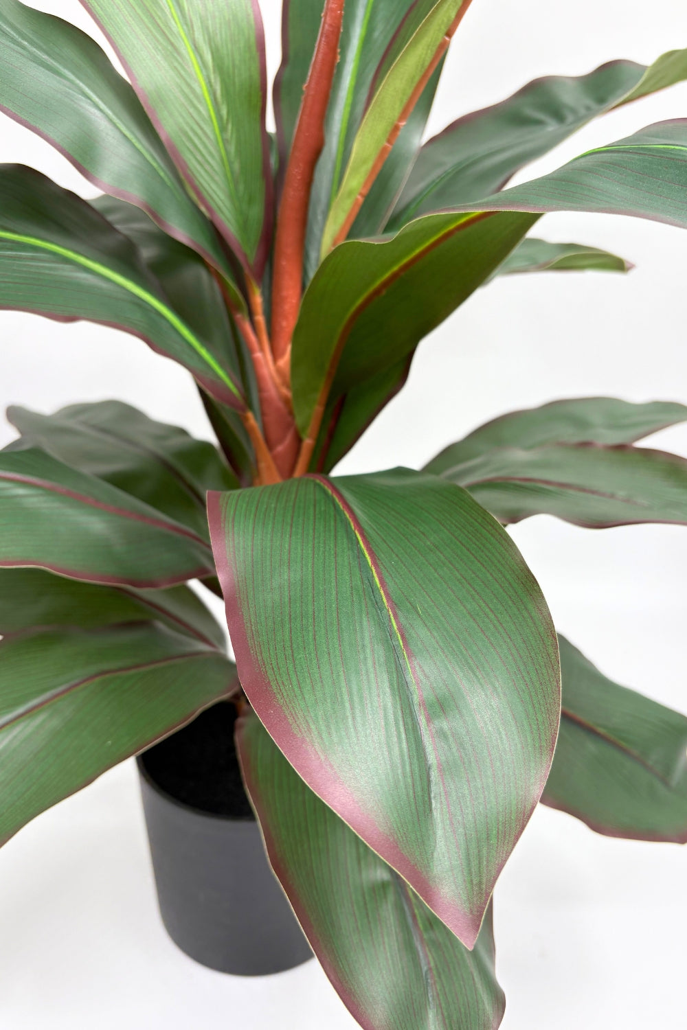 Dracaena Kunstpflanze 60 cm – PrettyPflanzen