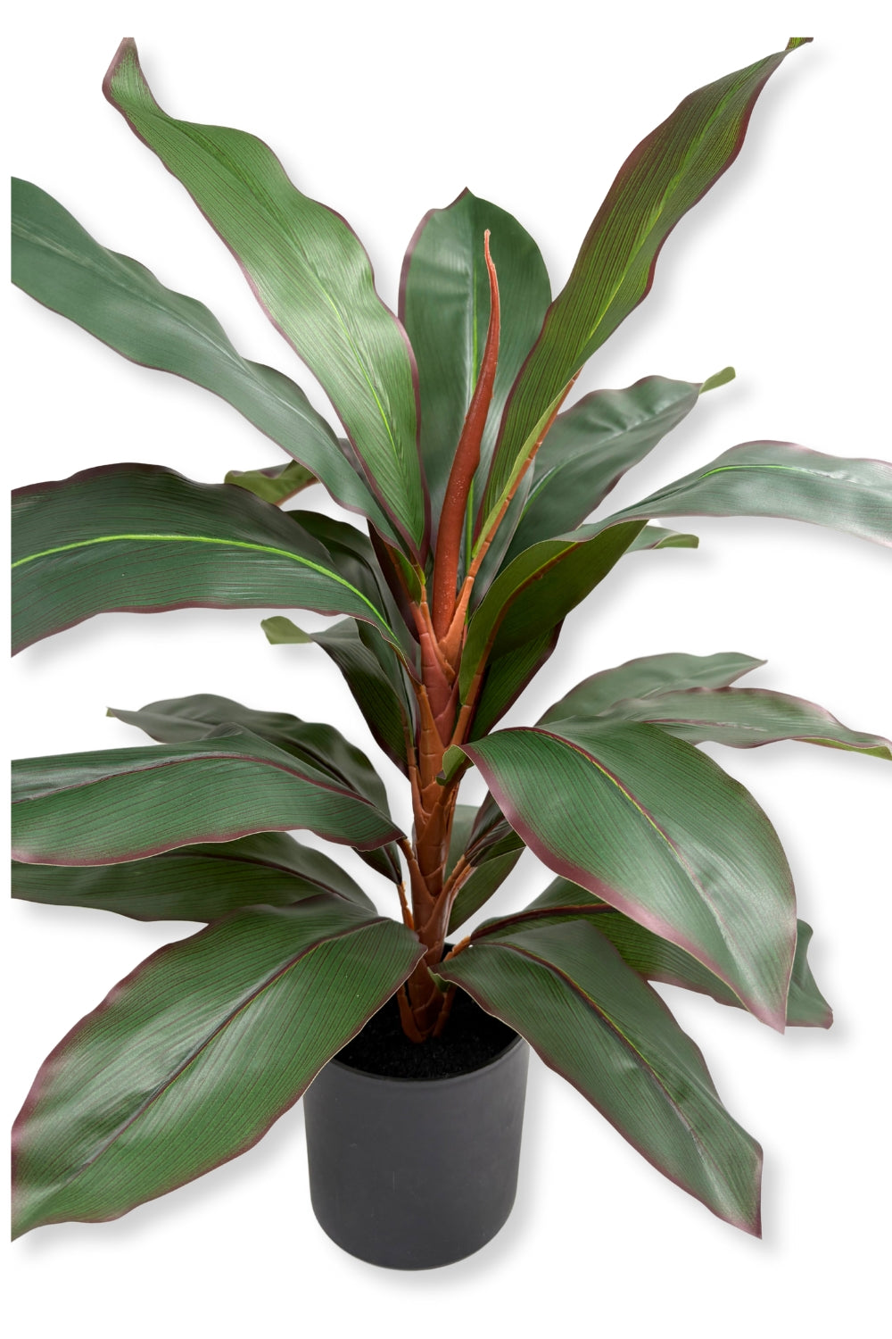 Dracaena Kunstpflanze 60 cm – PrettyPflanzen