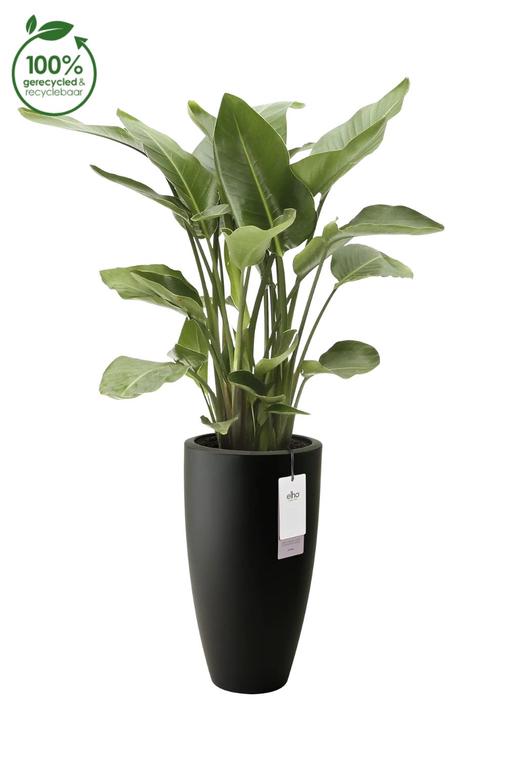 Blumentopf Elho June Round High 39 cm Schwarz