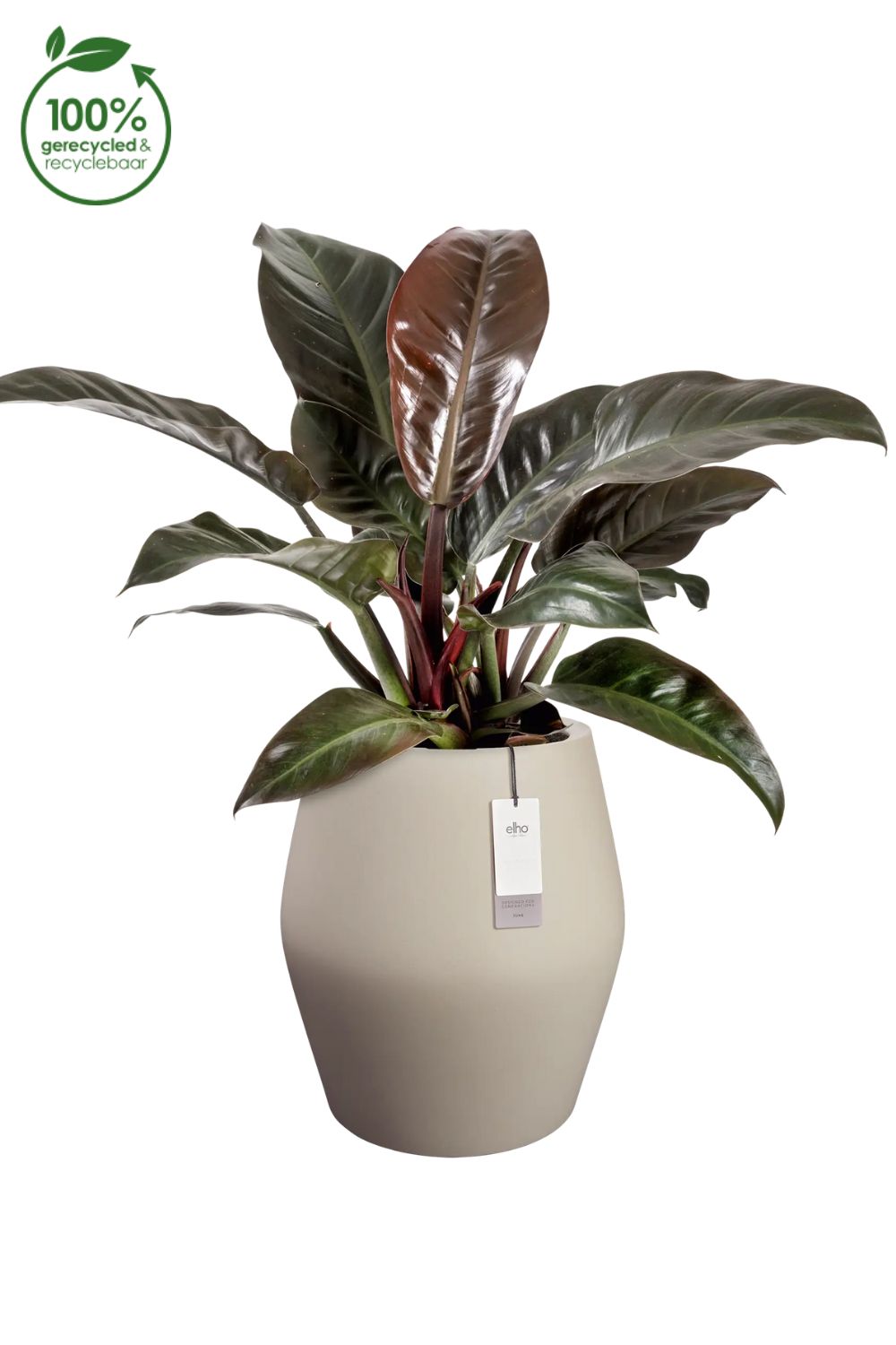Blumentopf Elho June Split High 53 cm Balanced Beige