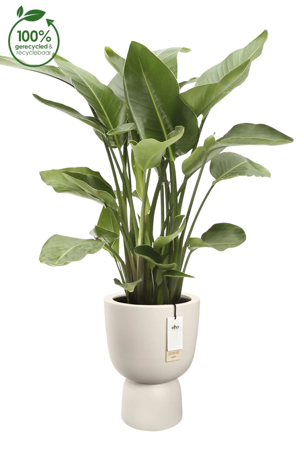 Blumentopf Elho Amber Coupe 35 cm Leinen Weiß
