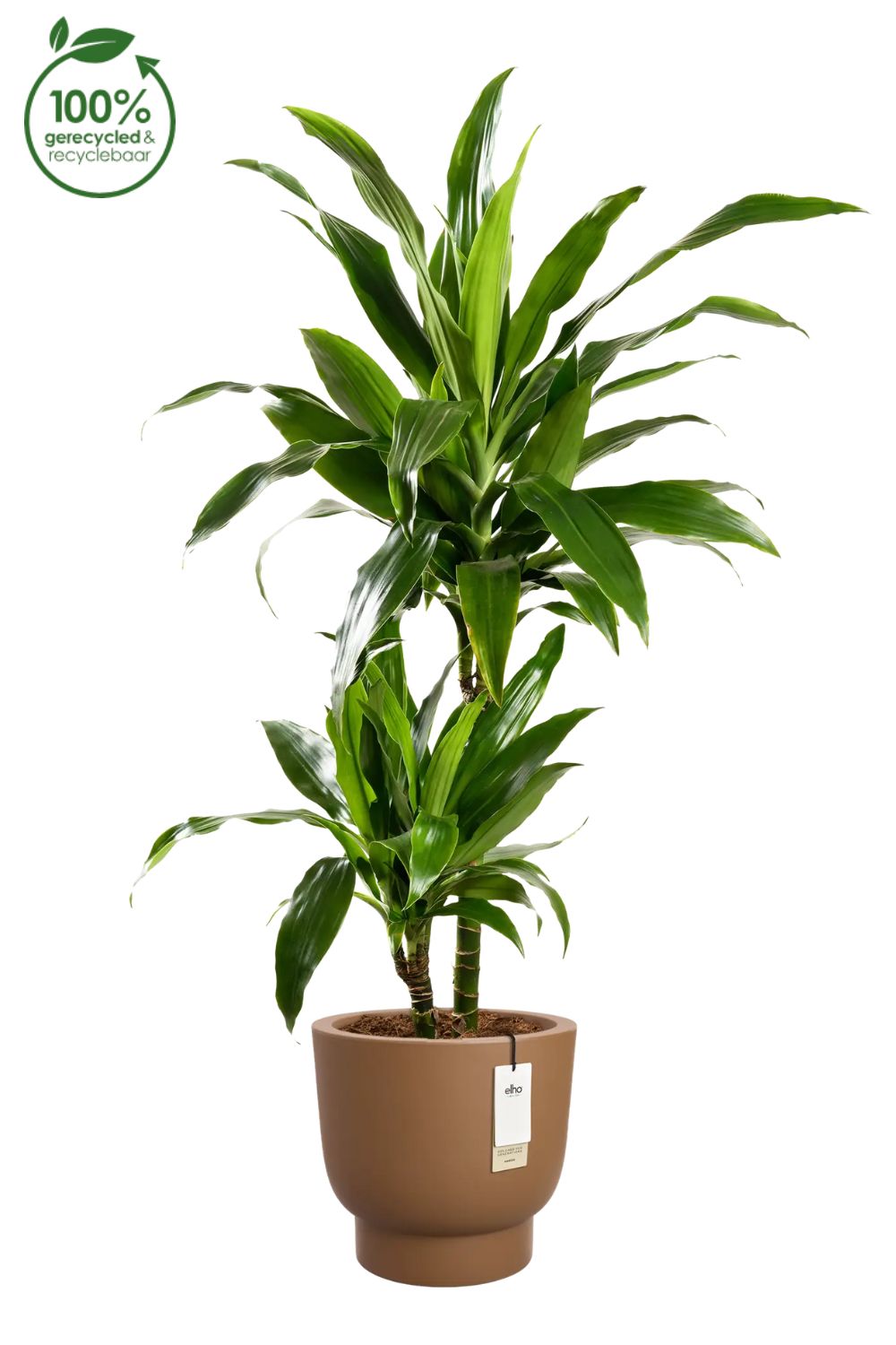 Blumentopf Elho Amber Grail 30 cm Karamell