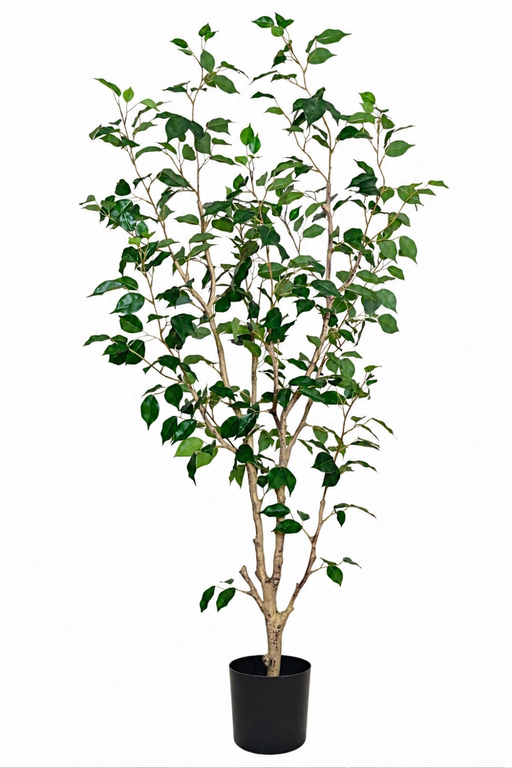 Ficus Kunstpflanze 150cm